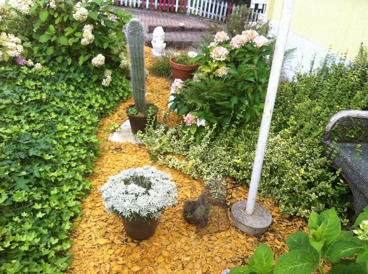 Bed and Breakfast Gastehaus Stumpf Weidenthal Exterior foto